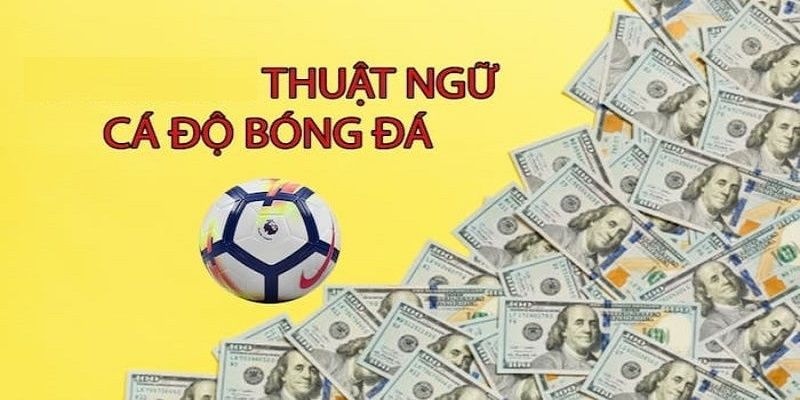 Thuật ngữ trong kèo châu Á cần ghi nhớ kỹ