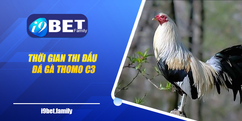 thời gian thi đấu đá gà Thomo C3
